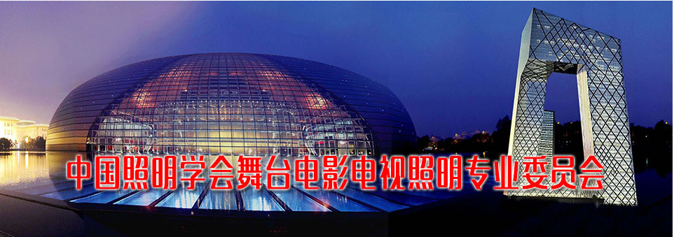 2025年广佛肇灯光调研报告-电脑灯篇